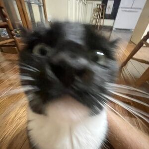 Meet your Posher, Luke